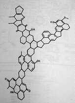 proposed coal structure