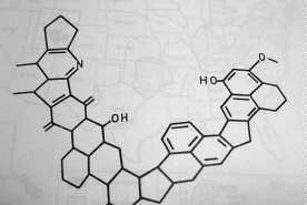 proposed coal structure, close-up